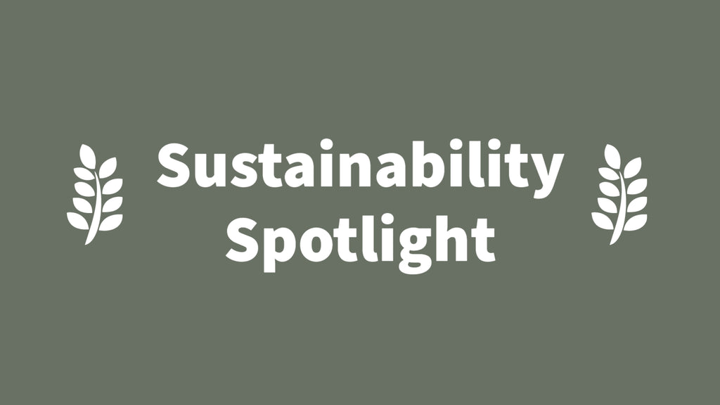 August Sustainability Spotlight