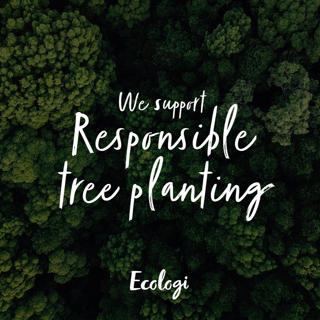 The Power of Planting Trees: Why we're working with Ecologi to create a more sustainable future
