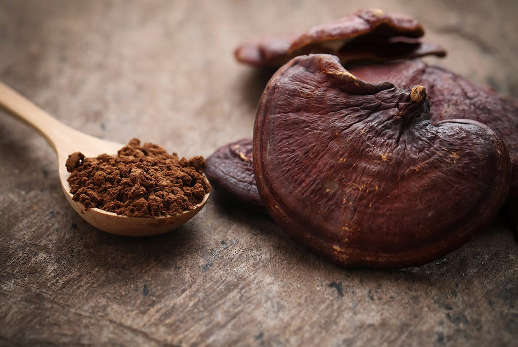 All You Need To Know About Organic Mushrooms And Their (Super) Powders…