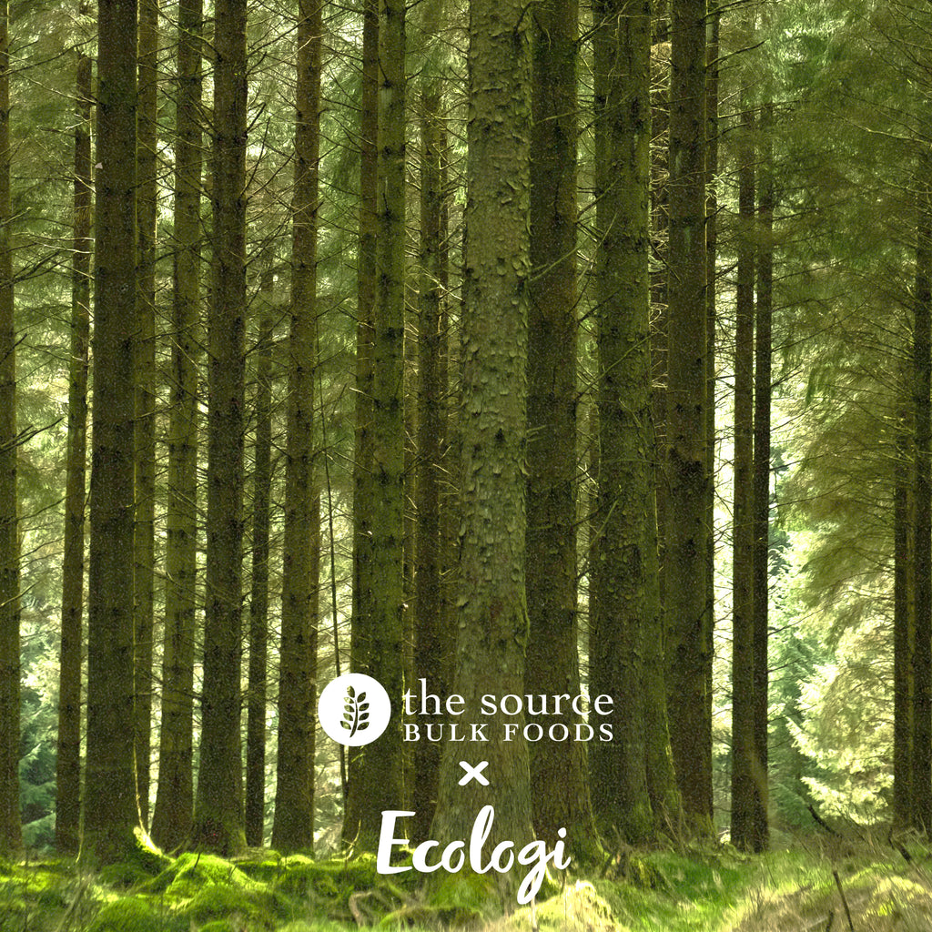 Uk Source Corporate Social Responsibility – The Source Bulk Foods UK